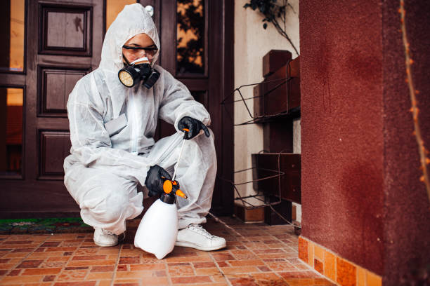 Reliable Wasp Removal contractor in Malakoff, TX by Show Me Pest Control